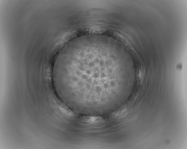 X0000091920663200709121539