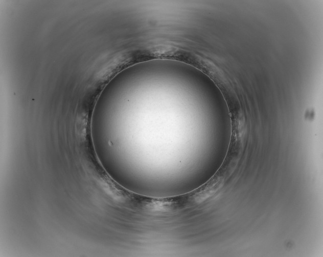 X0000091920664200709121539