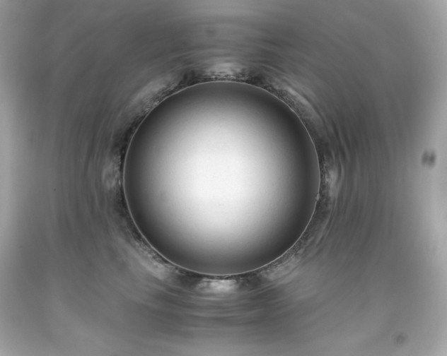 X0000091920665200709121539