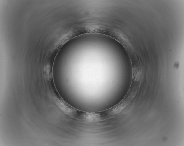 X0000091920670200709121539