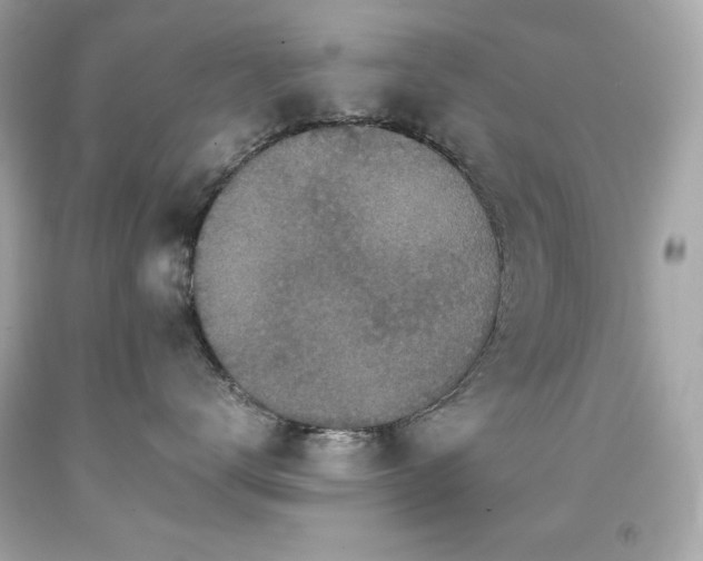 X0000091920672200709121540