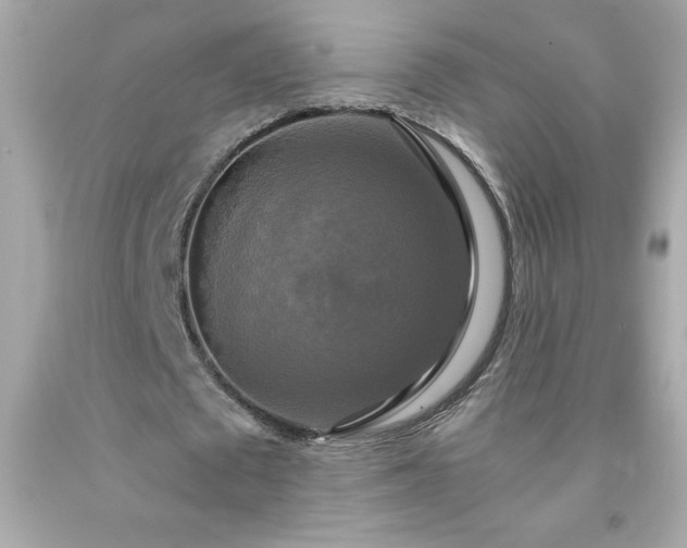 X0000091920673200709121539