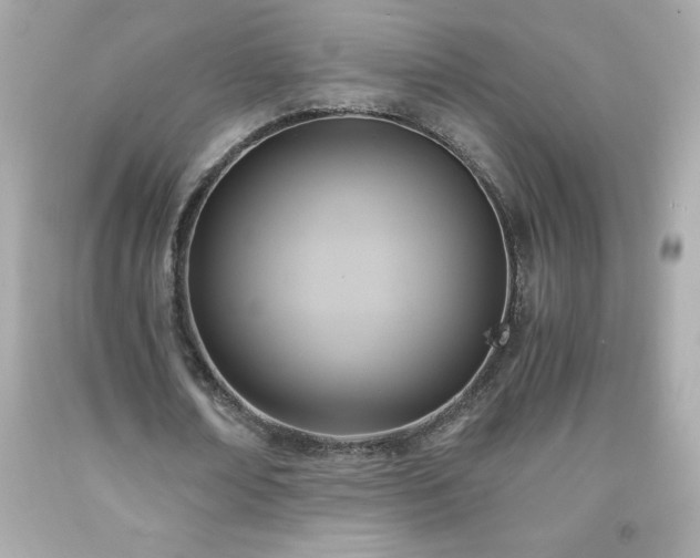 X0000091920674200709121539