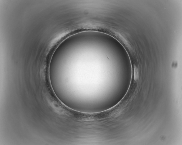 X0000091920675200709121539
