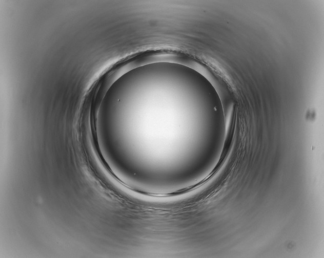 X0000091920676200709121539