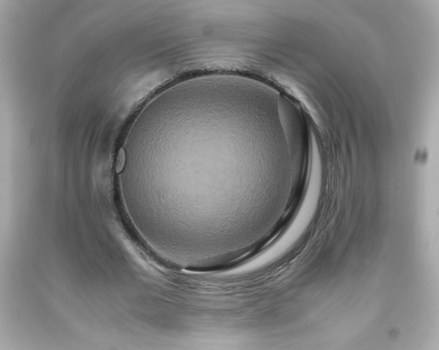 X0000091920677200709121539
