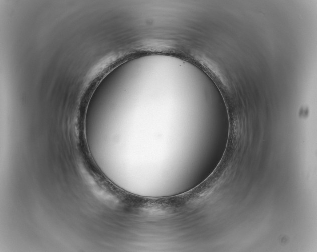 X0000091920682200709121539