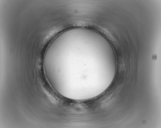 X0000091920683200709121539