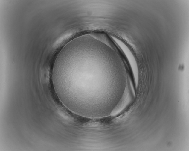 X0000091920685200709121539
