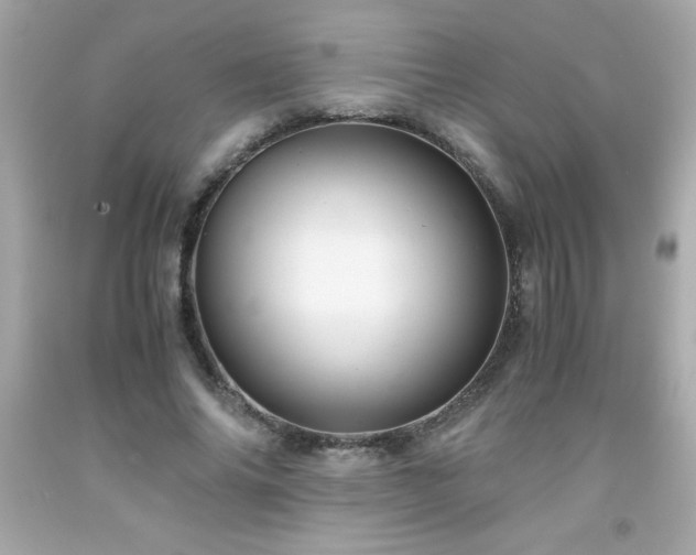 X0000091920686200709121539