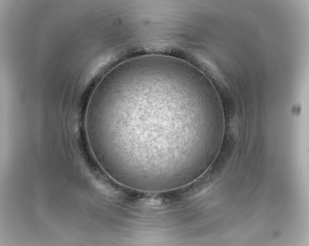 X0000091920687200709121539