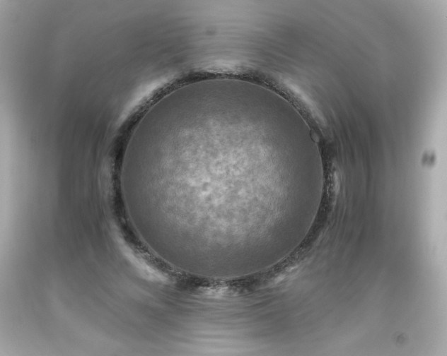 X0000091920688200709121539