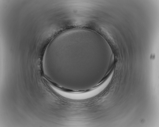 X0000091920689200709121539