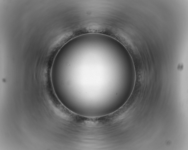 X0000091920690200709121539