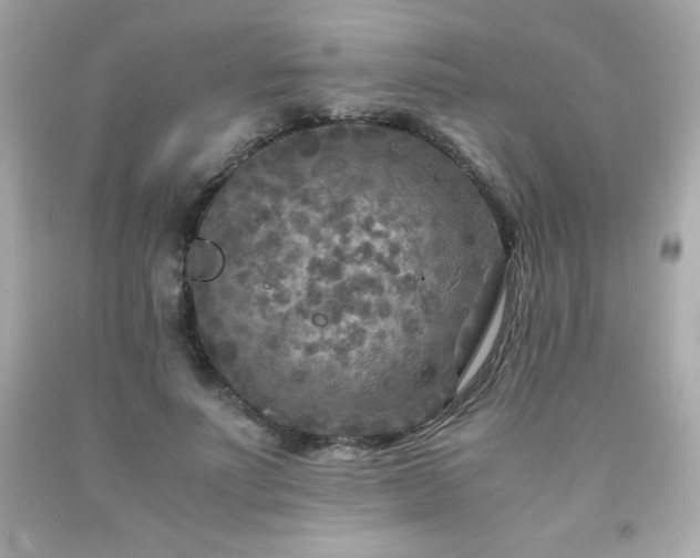 X0000091920691200709121539