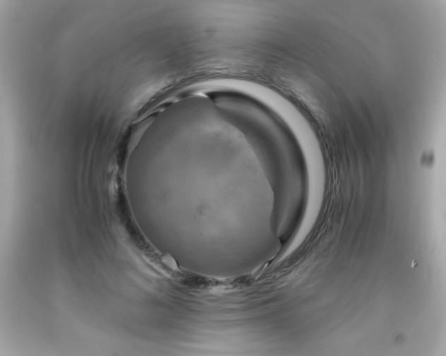 X0000091920692200709121539