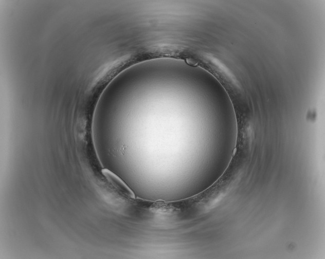 X0000091920693200709121539