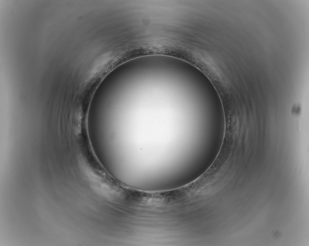X0000091920694200709121539
