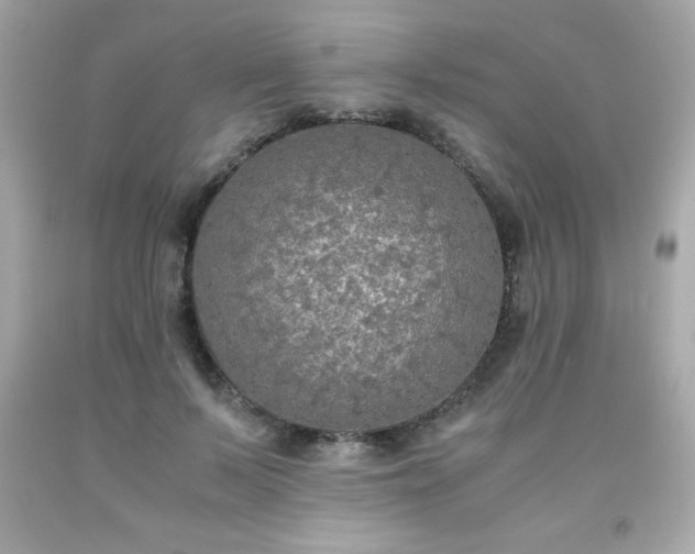 X0000091920695200709121539
