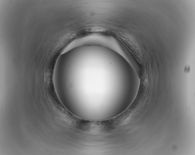 X0000091920697200709121539