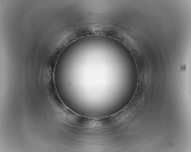 X0000091920702200709121539