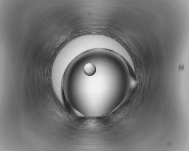X0000091920704200709121539