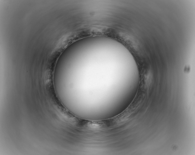 X0000091920706200709121538