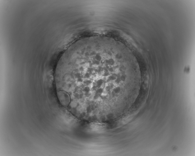 X0000091920707200709121538