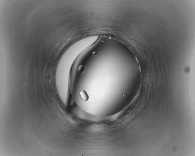 X0000091920708200709121538