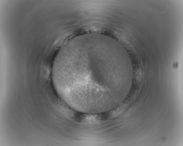 X0000091920709200709121538