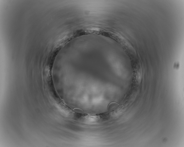 X0000091920711200709121538