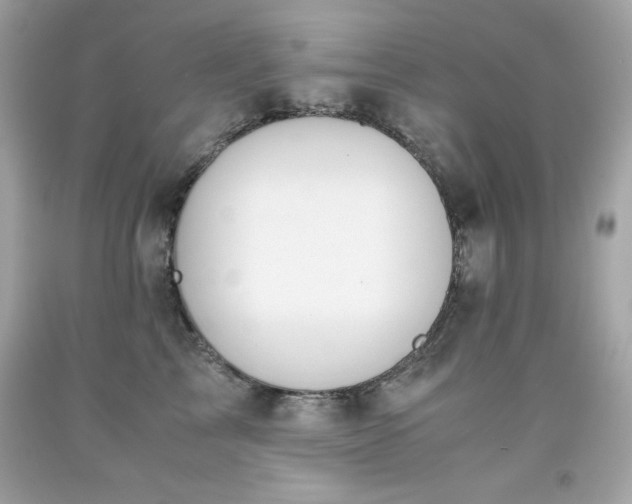 X0000091920713200709121538