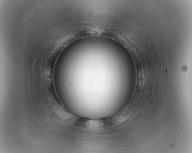 X0000091920714200709121538