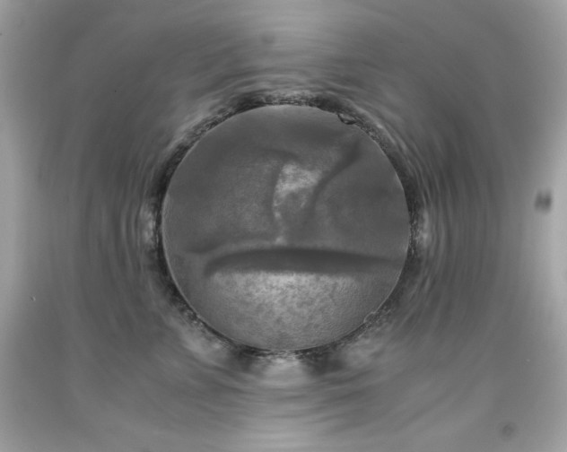 X0000091920715200709121538