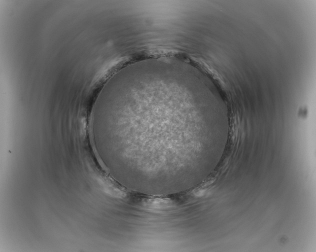 X0000091920716200709121538