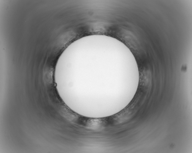 X0000091920717200709121538