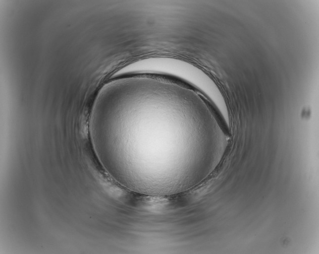 X0000091920719200709121538