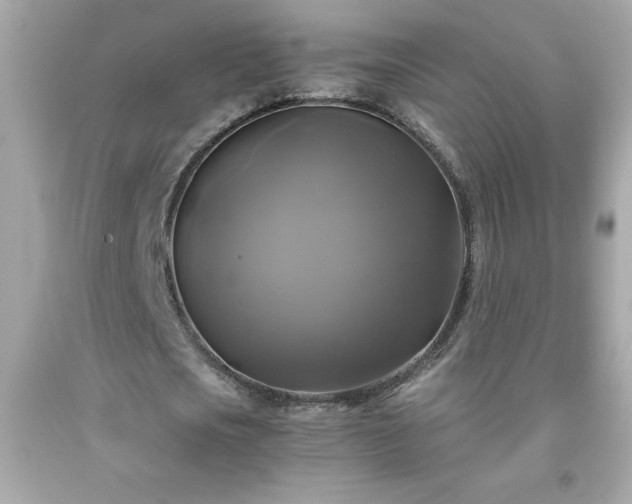 X0000091920721200709121538