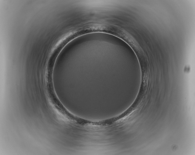 X0000091920722200709121538