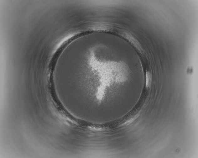 X0000091920723200709121538