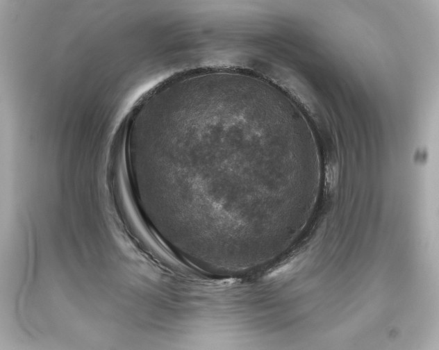 X0000091920724200709121538