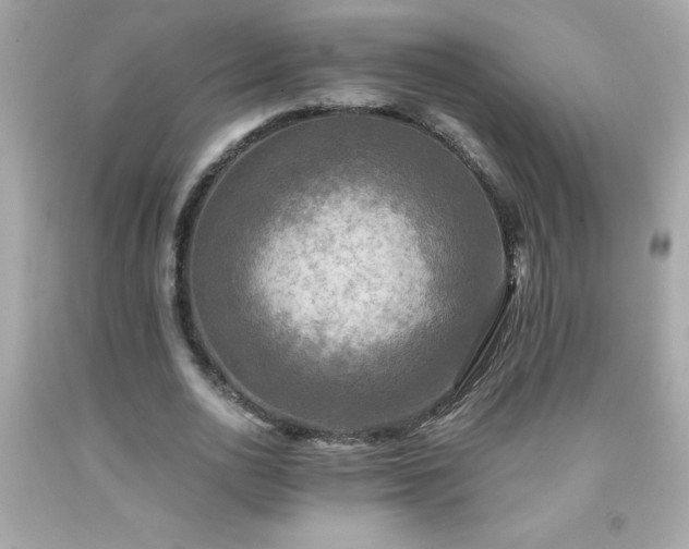 X0000091920726200709121538
