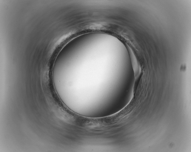 X0000091920727200709121538