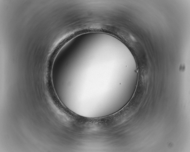 X0000091920728200709121538