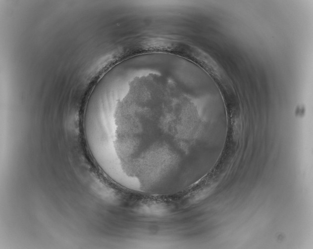X0000091920729200709121538