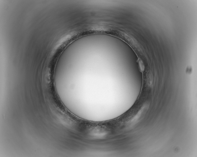 X0000091920731200709121538
