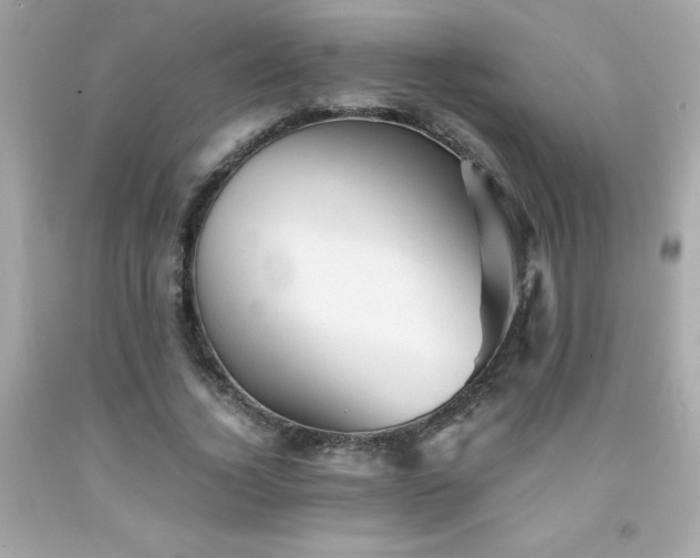 X0000091920732200709121538
