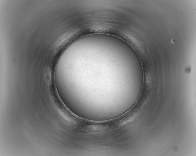 X0000091920733200709121538