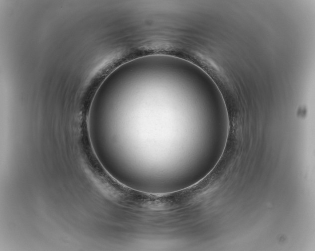 X0000091920735200709121538