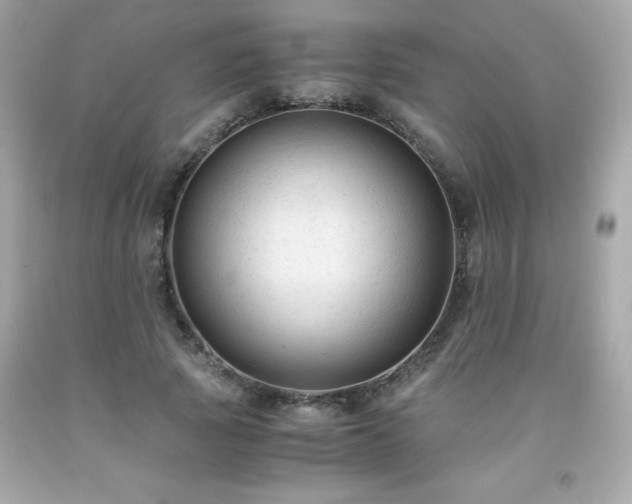 X0000091920737200709121538